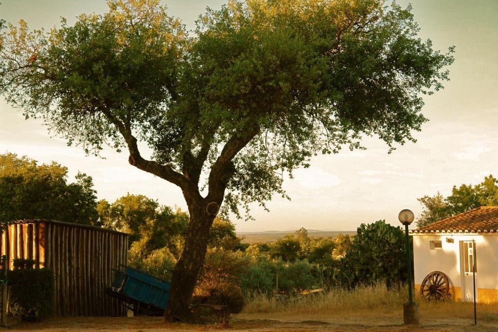 Quinta Da Bela Vista Póvoa e Meadas Exterior foto