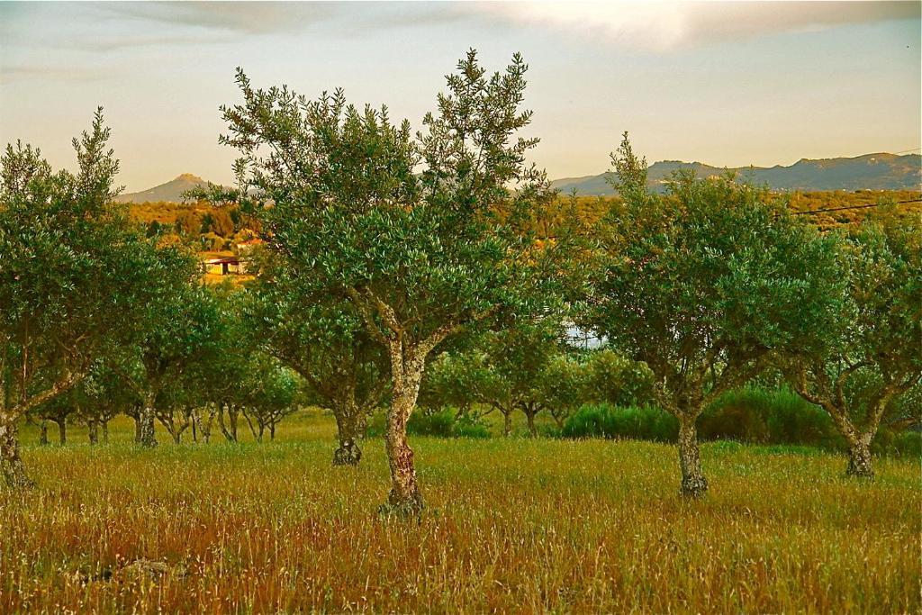 Quinta Da Bela Vista Póvoa e Meadas Exterior foto