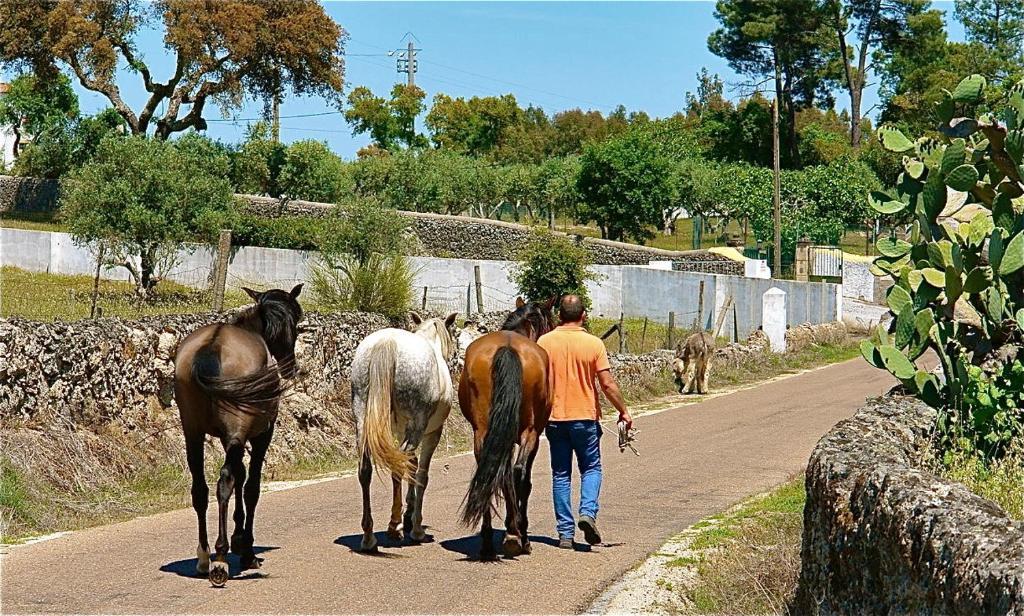 Quinta Da Bela Vista Póvoa e Meadas Exterior foto